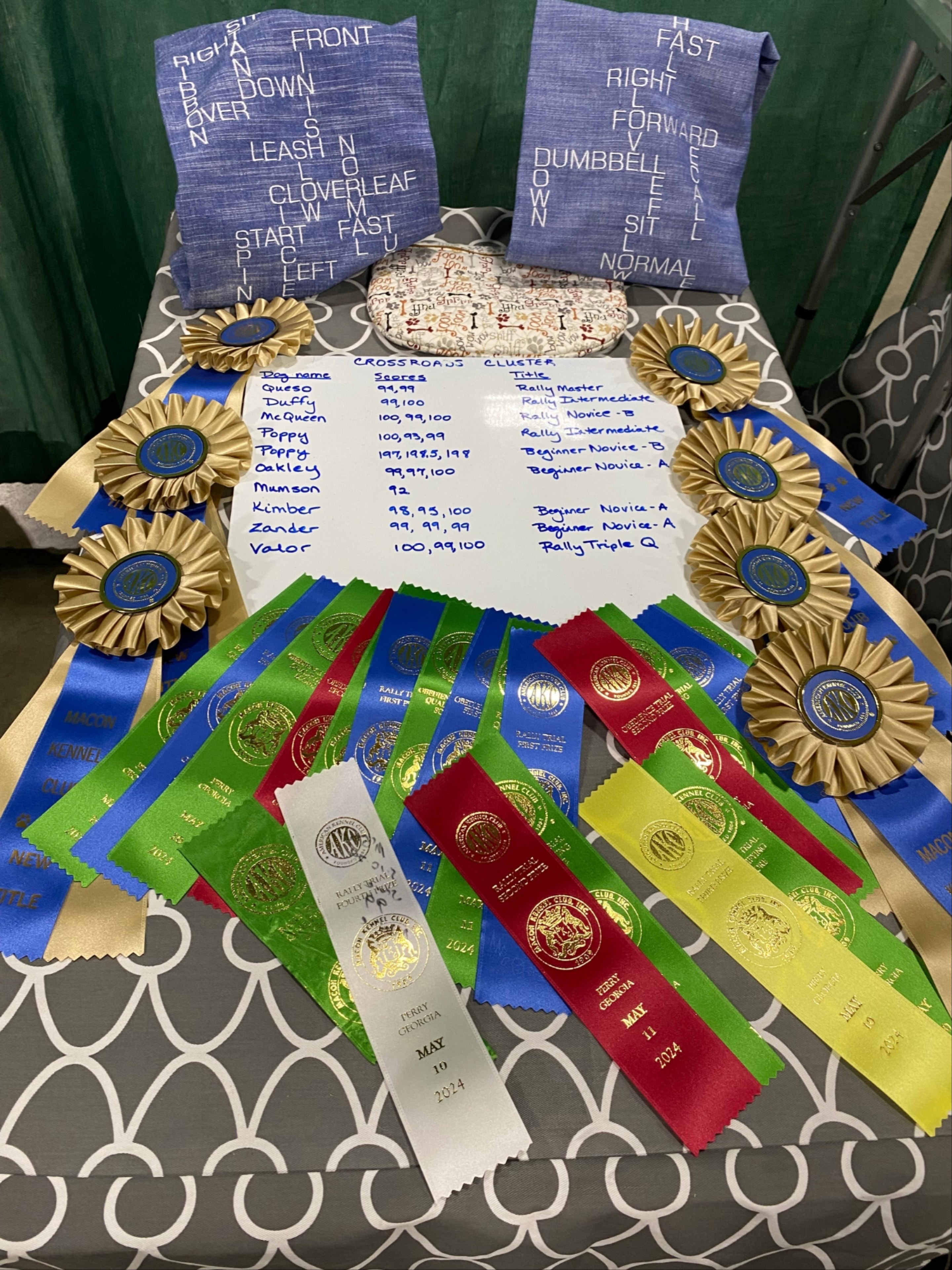 Dog show competition ring